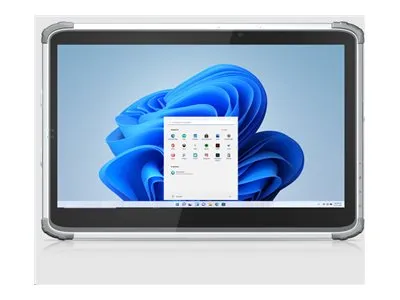 DT Research Rugged Medical Tablet 316T/MD - Rugged - tablet - Intel Core i7 - 1355U / up to 5 GHz - Win 11 IoT Enterprise - Intel 316T-71-4B